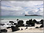 foto Isole Galapagos